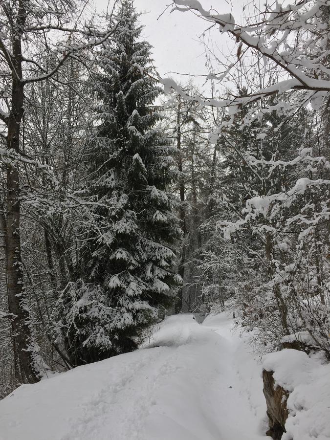 Chalet Le Verger Agettes Екстер'єр фото
